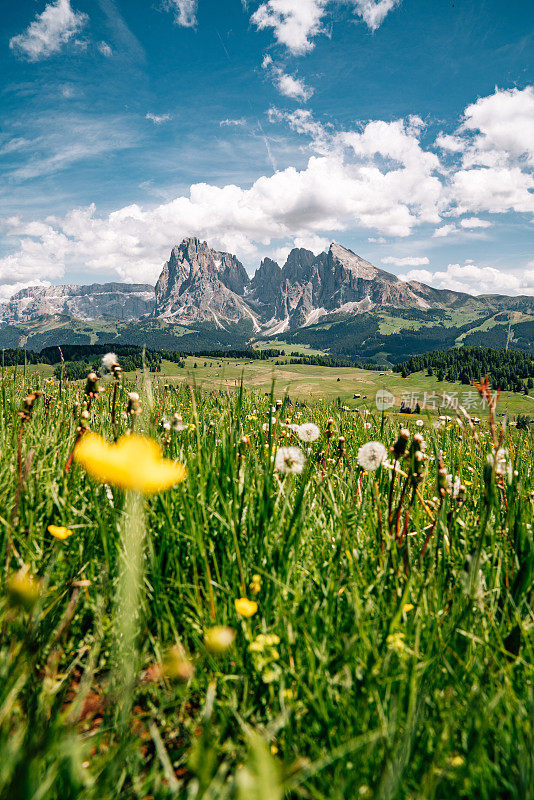 Alpe di Siusi与Sassolungo, Langkofel山脉群在Dolomites，意大利